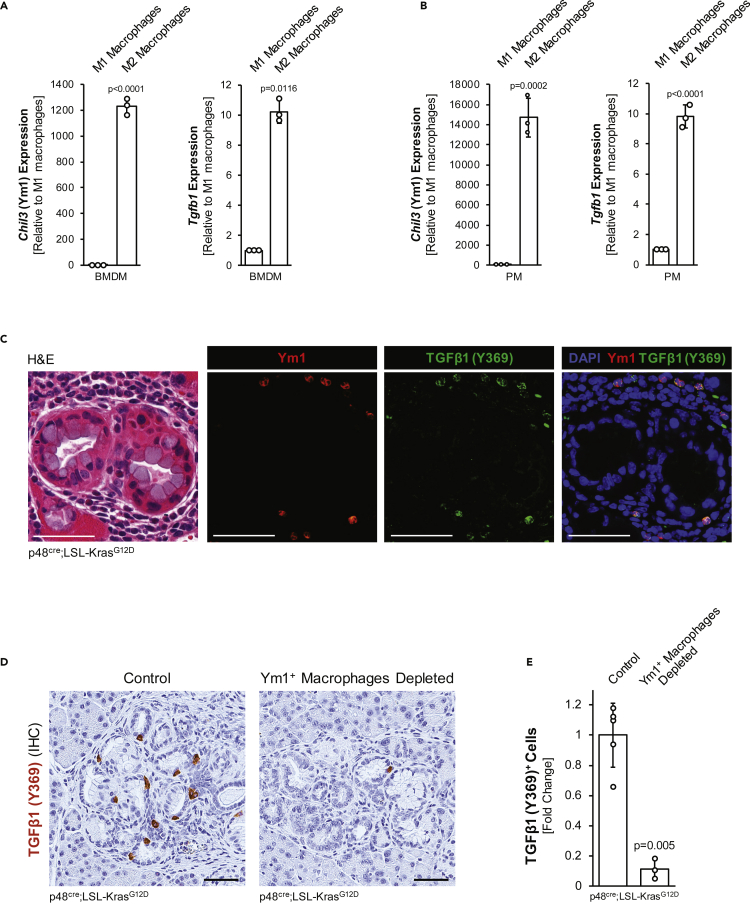 Figure 2