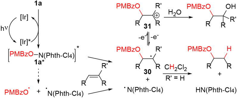 Scheme 6.