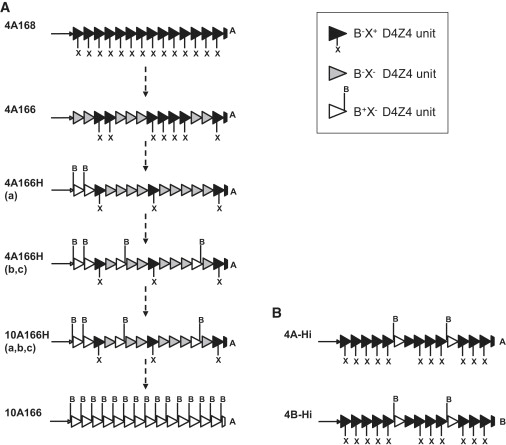 Figure 5