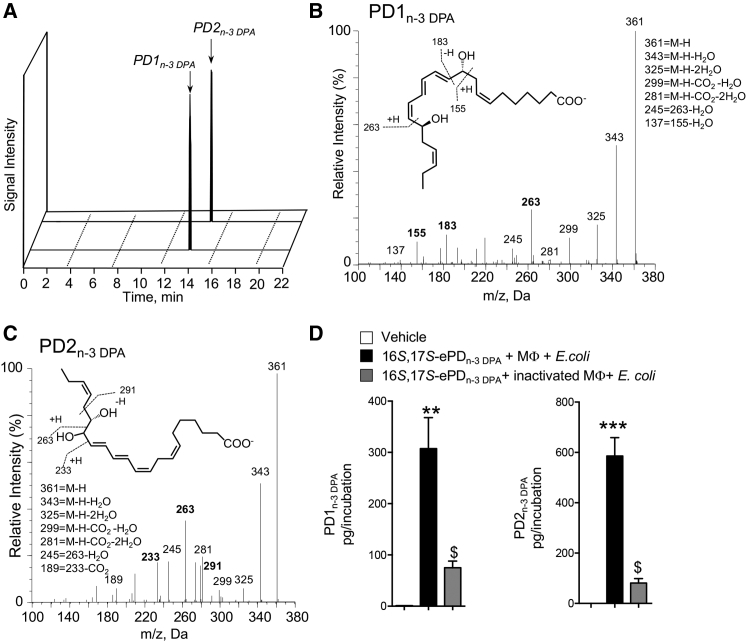 Figure 4