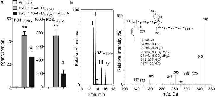 Figure 5