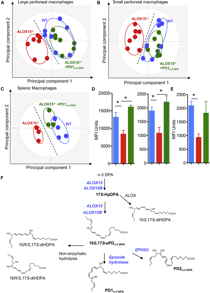 Figure 7