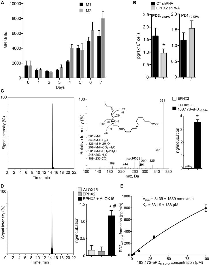 Figure 6