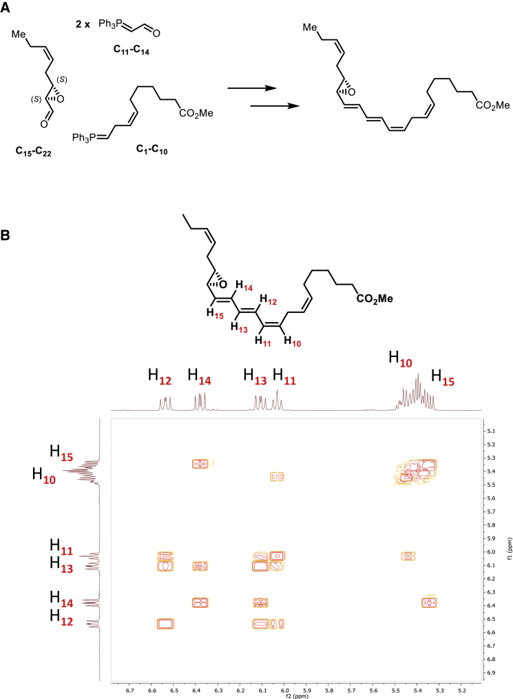 Figure 3