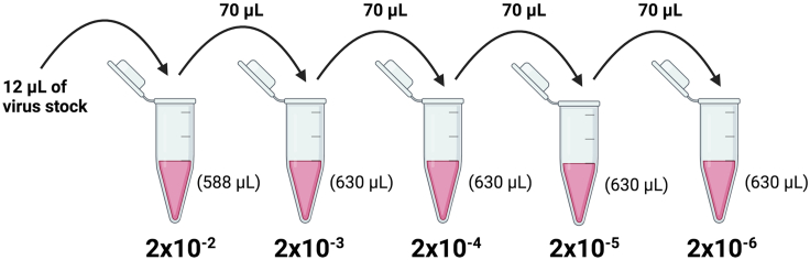 Figure 3