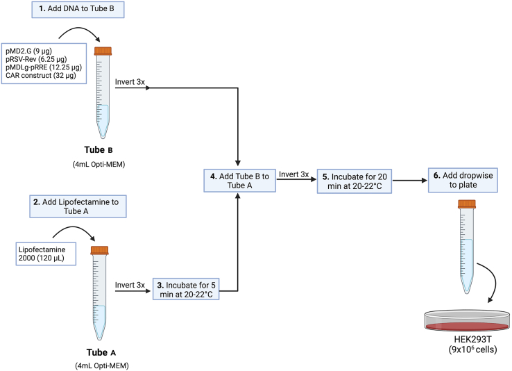 Figure 2