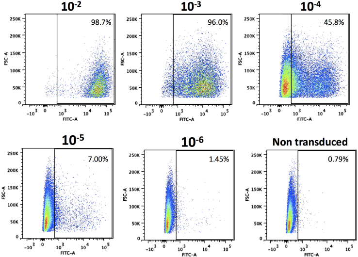 Figure 6