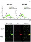 FIG. 2.