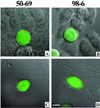 FIG. 4.