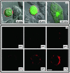 FIG. 6.