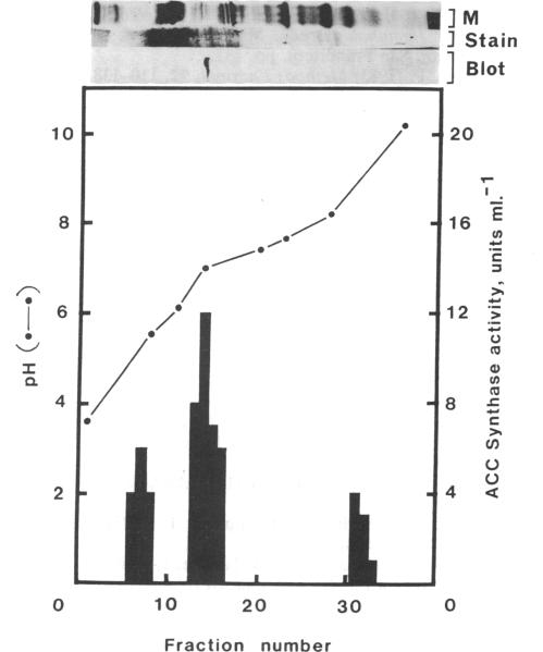 graphic file with name pnas00302-0052-c.jpg