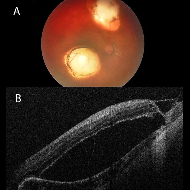 Figure 6