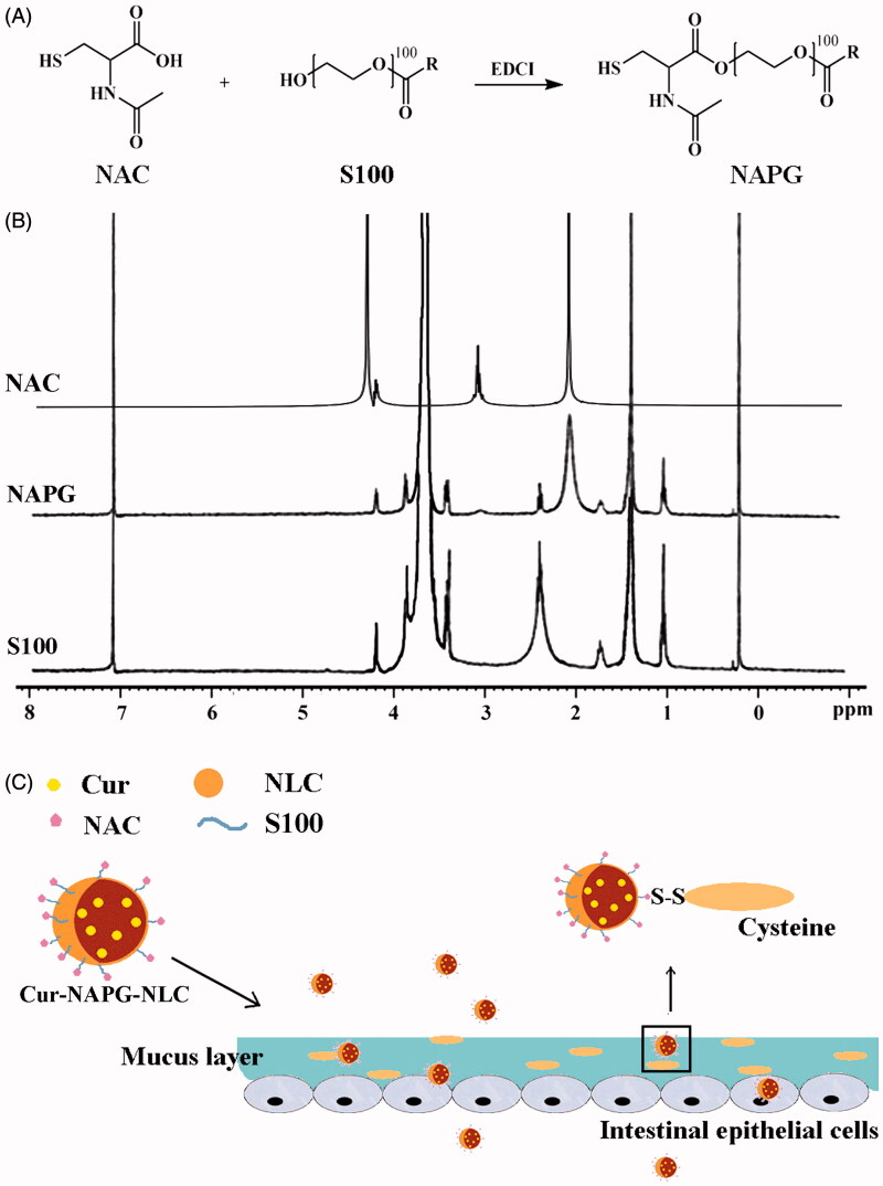 Figure 1.