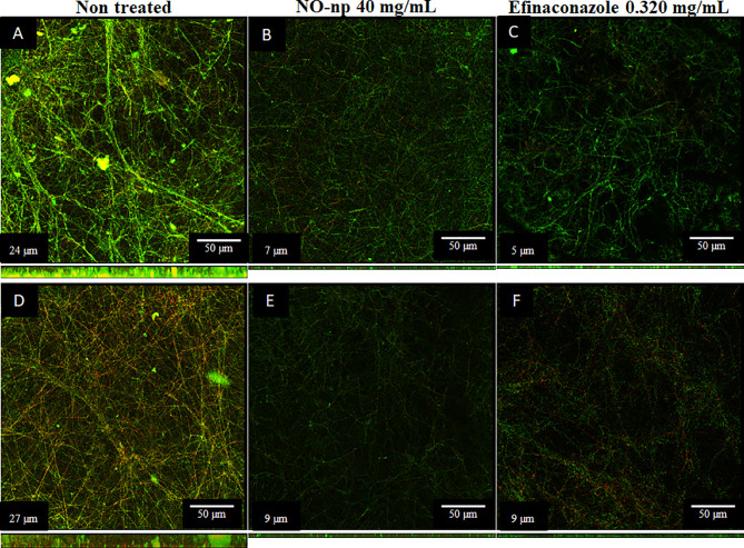 Figure 3