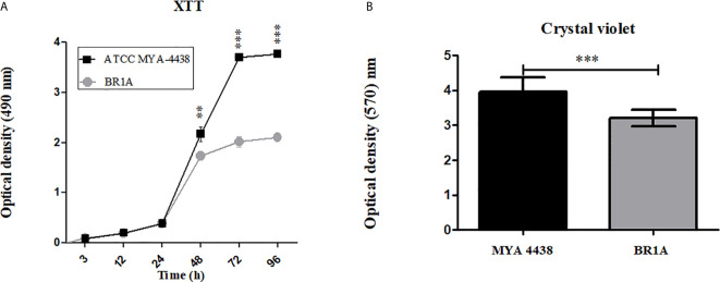 Figure 1