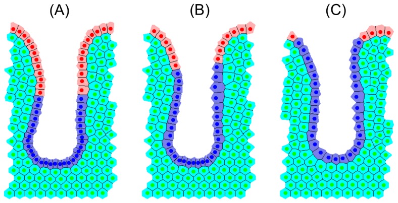 Figure 9