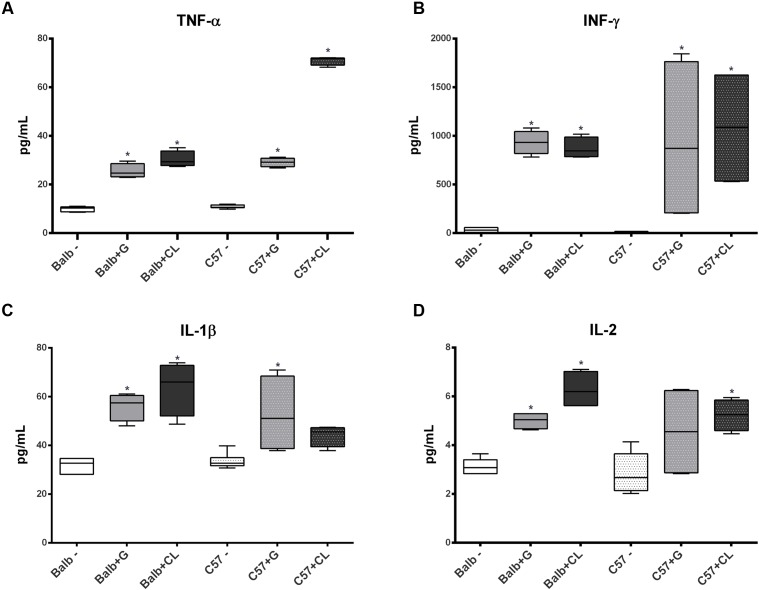 FIGURE 4