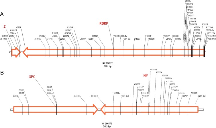 FIG 3