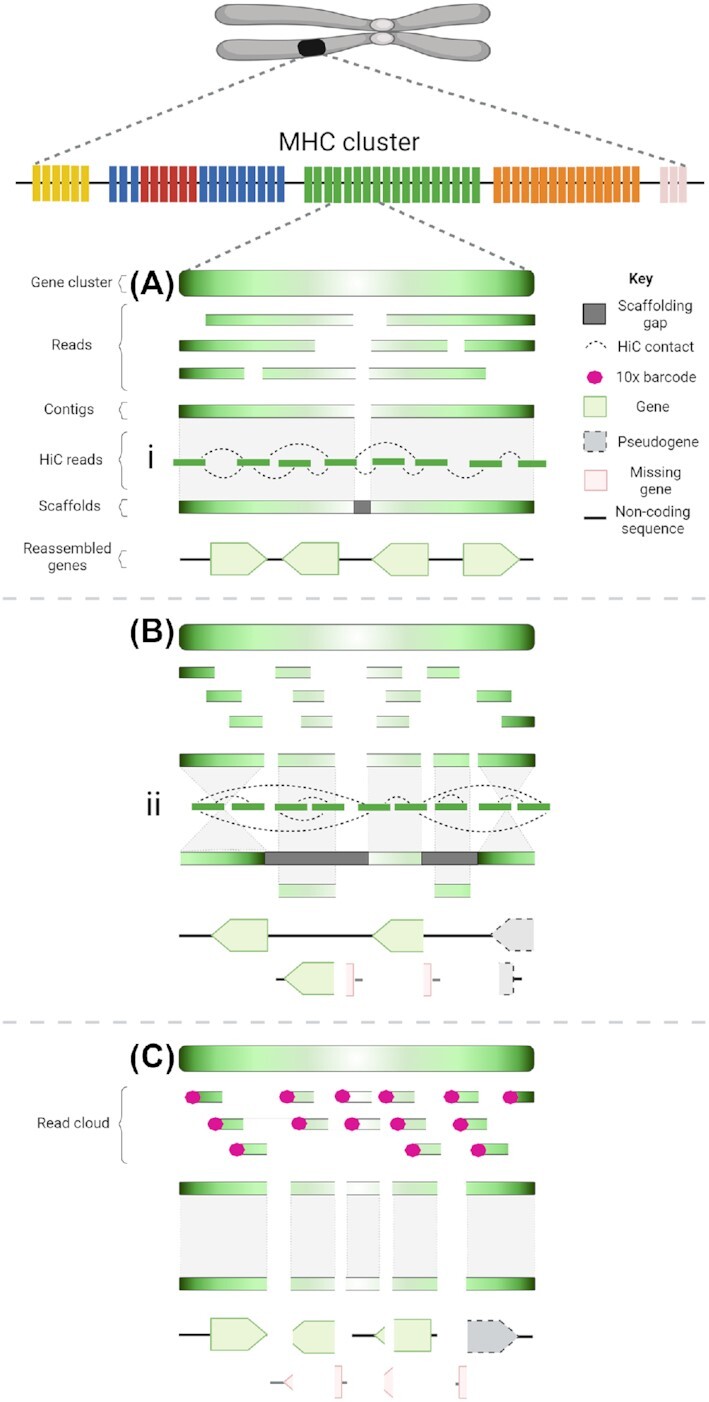 Figure 4: