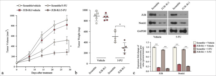 Figure 3: