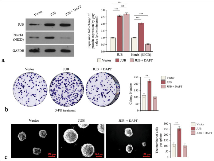 Figure 6: