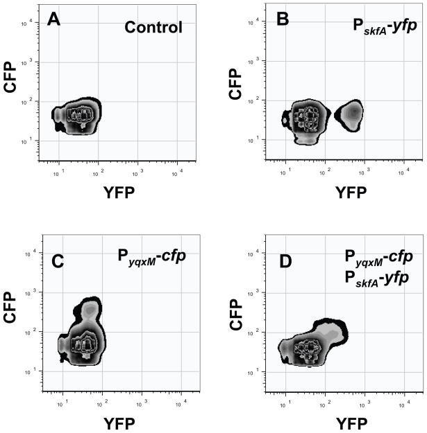 Fig. 2