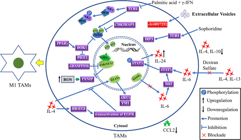 FIGURE 3