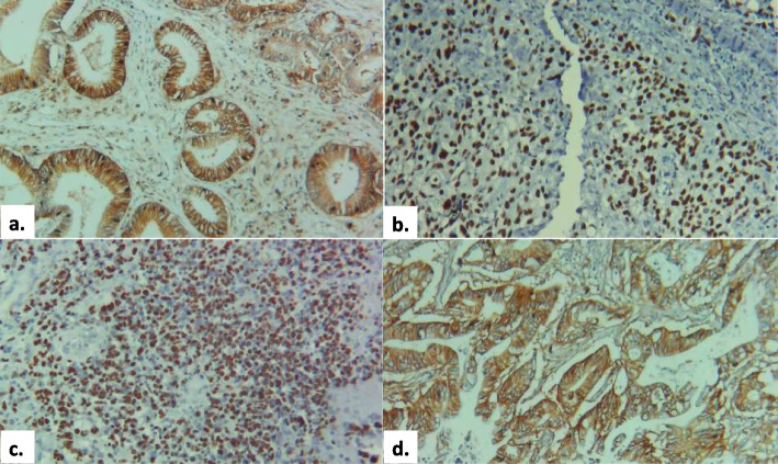 Fig. 2