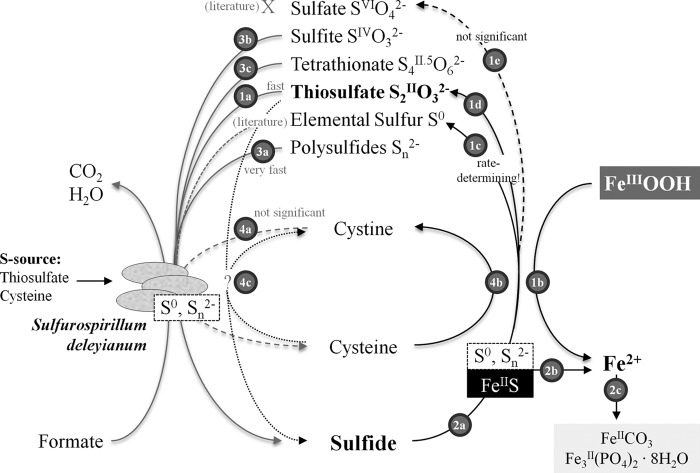 FIG 1