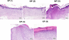 Fig. 9