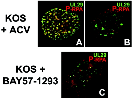 FIG. 7.