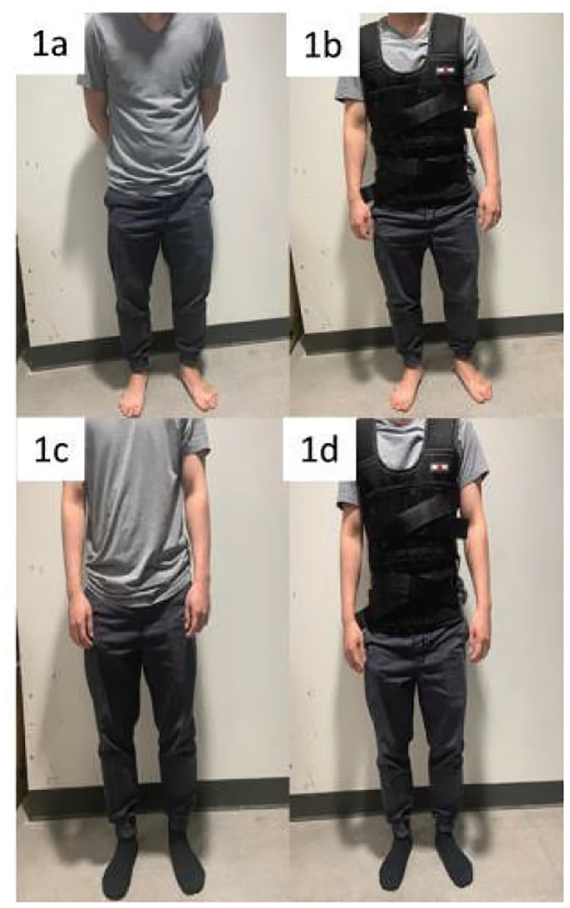 Figure 1a.