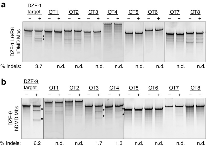 Figure 6