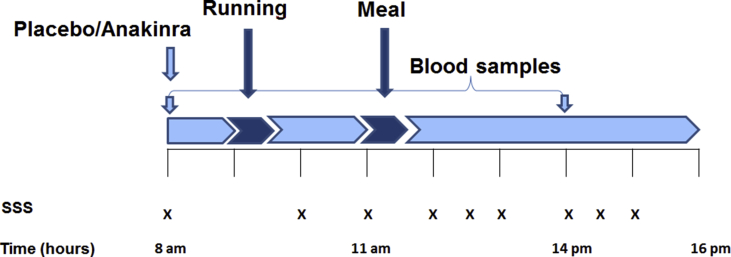 Figure 1