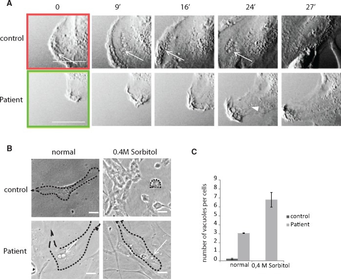 FIGURE 3