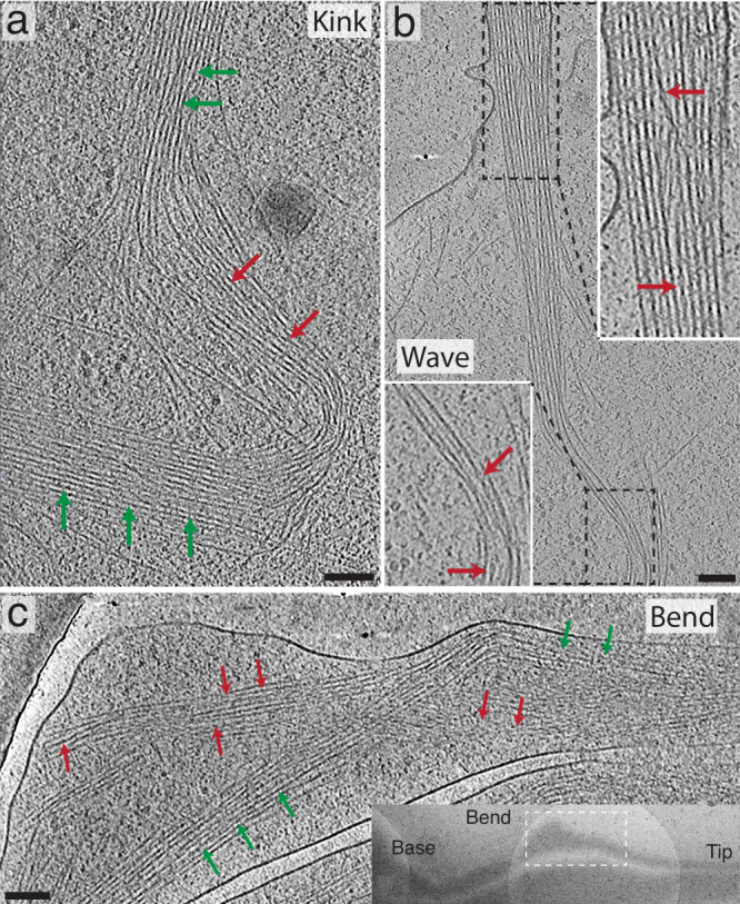 Fig. 7