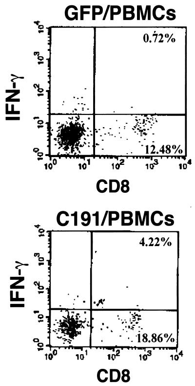 FIG. 5