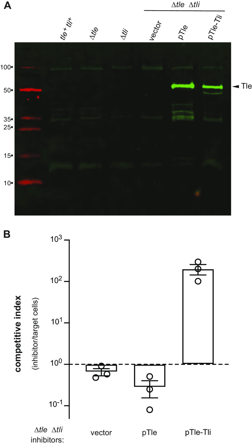 FIG 6