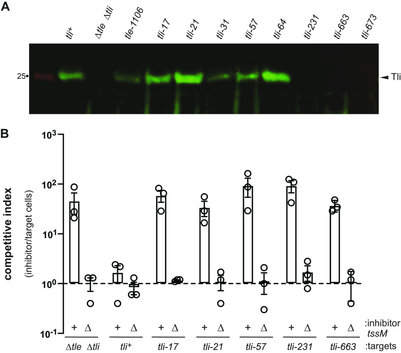 FIG 4