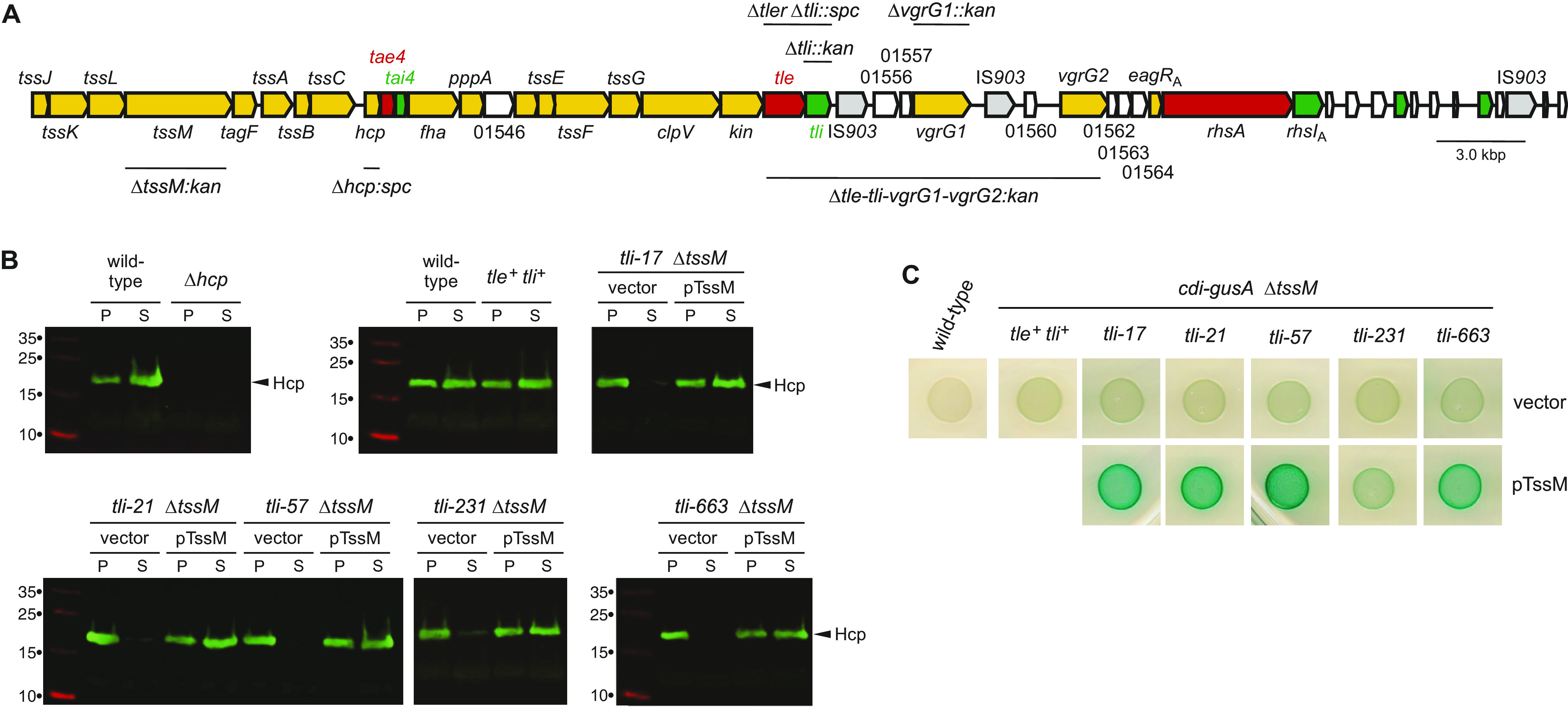 FIG 3