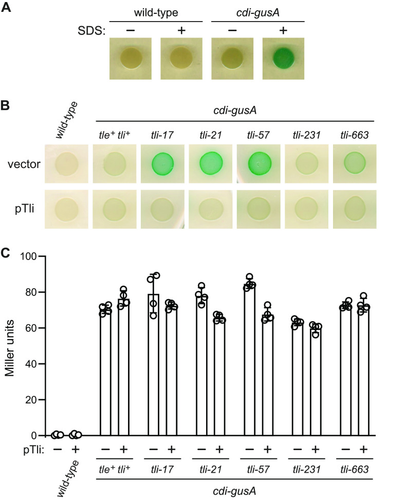 FIG 2