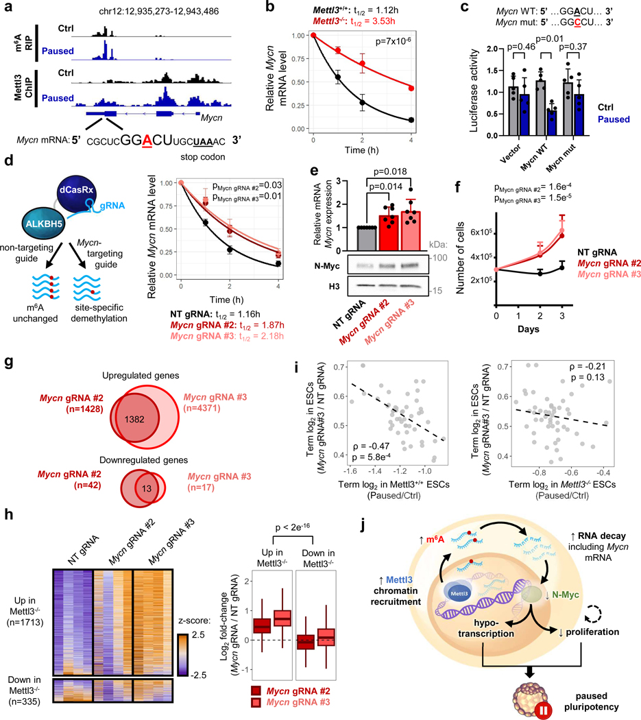 Figure 6: