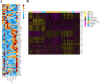 Figure 2—figure supplement 3.