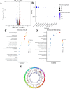Figure 2—figure supplement 4.