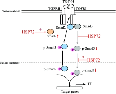 Figure 9.