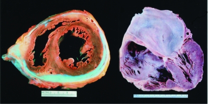 FIGURE 12.