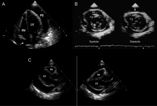 FIGURE 9.