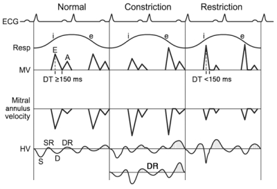 FIGURE 15.