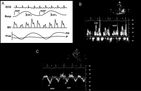 FIGURE 10.