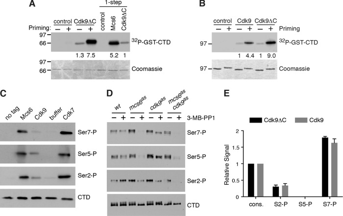 Fig 6